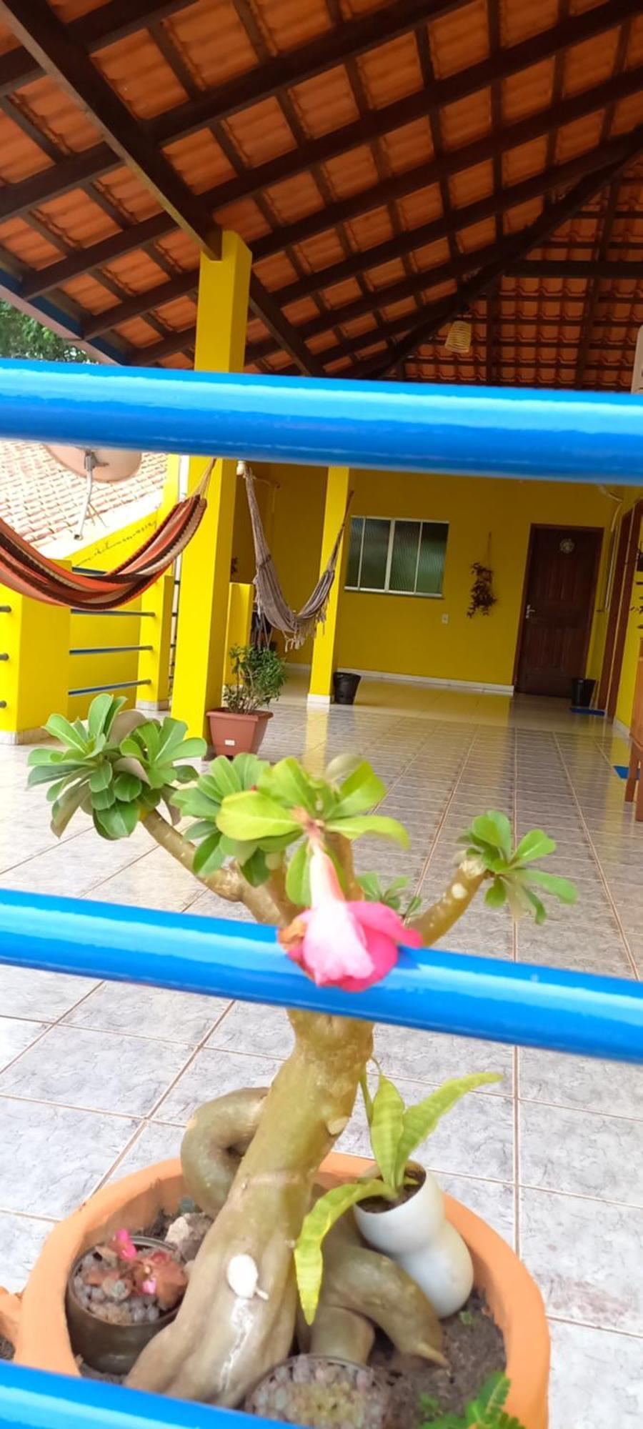 Casa Da Vila - Hospedaria - 3 Min Do Centrinho De Alter Alter do Chão Buitenkant foto